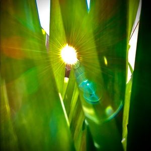 Meet your Posher, Cara